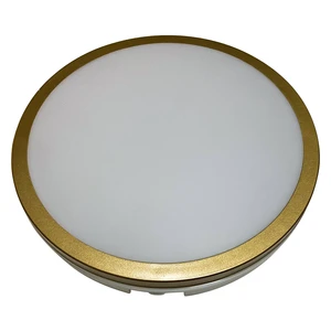 New Modern Ceiling Light IP65 30W Round LED Ceiling Light Color Changeable Ceiling Light