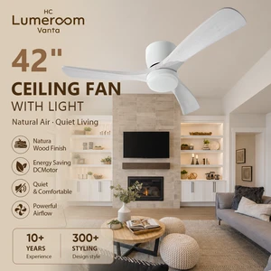 USA In Stock 42 Inch White Ceiling Fan with Light Solid Wood Blades Low Profile Mount Quiet Reversible DC Motor