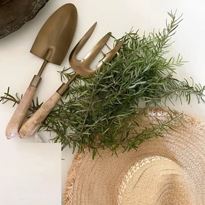 Standard Design Gardening Tools Kit Made of Iron Garden Tool Set With Wooden Handle for Garden Usage in Cheapest Price
