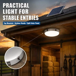 Modern Outdoor Surface Mounted 400w Round Panel Ceiling Lights With Remote Control Solar Garden Lights for Villa