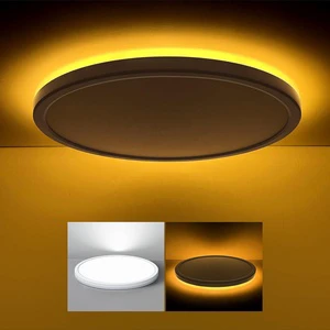12 Inch LED Flush Mount Ceiling Light Fixture with Night Light 24W Remote Control Dimmable Round White Ceiling Lamp for Bedroom
