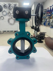 Drucker Manual Turbine Ductile Iron Wafer Type Midline Butterfly Valve DN50-DN600 High Temperature For Water Applications