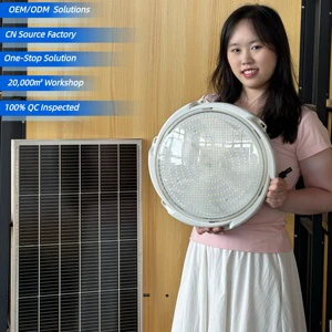 Indoor Outdoor Waterproof IP65 CE Solar Ceiling Light Bedroom Courtyard Balcony Remote Control Led Solar Charging Garden Light