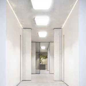 Outdoor Solar 50w 60w 100w 200w 300w 360w Ceiling Lamp Indoor Led Induction Garden Light