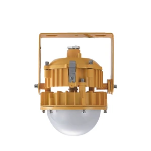Explosion Proof LED Floodlights 30W 36V 1 Year Warranty GYPEX Brand for Metal Processing & Metallurgical Industries