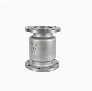 Check Valve Vertical Lift Flange End Stainless Steel Material Check Valve