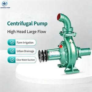 Cast Iron Centrifugal Pump with High Head Large Flow, Ideal for Farm Irrigation & Urban Clear Water Drainage