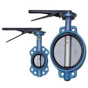 DN40 DN200 SS304 316 Ductile Iron Manual Operated Butterfly Valve