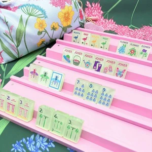 Pastel Mint Green Garden Themed American Acrylic Mahjong Tiles Set Bee Butterfly Gardening Tool Embossed Translucent Jelly