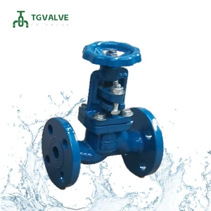 Globe Valve Manufacturer DIN Cast Iron PN16 Flanged Ends Industrial Water Steam Control Supply