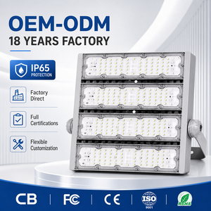 Factory Direct IP65 LED Tunnel Light High Lumen Waterproof Highway Tunnel Lamp for Road Bridge Subway Lighting 5-Year Warranty