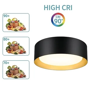 Worbes ETL Certified Modern Iron 15Inch 20W Macaron Shape LED Ceiling Light AC120V Single CCT Dimmable Indoor Flush Mount