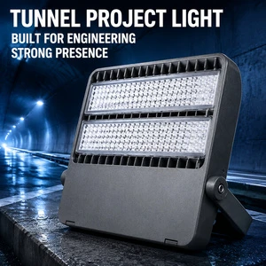 LED Tunnel Light 100W 150W 200W High Efficiency IP65 Road Tunnel Lighting Long Lifespan 50000 Hrs Municipal Project Factory
