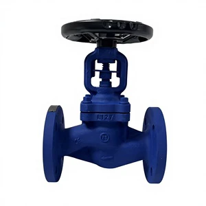 Stainless Steel Manual Bellow Globe Stop Valve PN16 PN25 Flange Type for Oil High Temperature Steam Water Application JITAI OEM