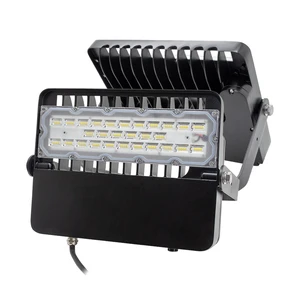Custom Laser Logo Outdoor Flood Light 100W with Asymmetrical Lens 120*90°
