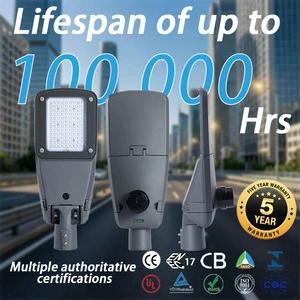 XINDECO LED Street Light IP66 Waterproof 100W ADC12 Aluminum 3030/5050 Chips High Lumen Outdoor Road Parking Lot Lamp 5-Year
