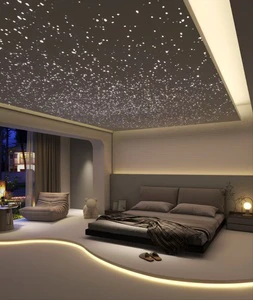 Twinkling LED Fiber Optic Star Ceiling Panel for Outdoor Exterior Living Room Use Remote Control Colour Change for Starlight