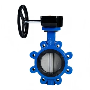 Lug Type Clamp butterfly Valve