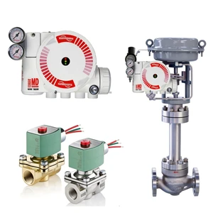 ASCO Valves: Series 238, 256, 356, 8262, 8263, 8342 (2/2-Way Solenoid Valves) + Flowserve Logix 3200MD + Electric Positioner