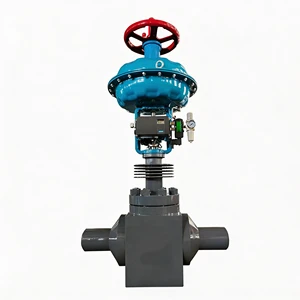 Pneumatic Steam Control Valve Globe Type with Adjustable Needle and Diaphragm Seal for Heat Exchanger