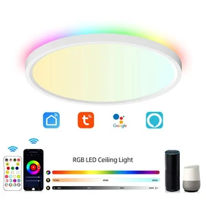 Smart Home Lights Easy Installation Home Lighting Tuya Smart LED Ceiling Light 24W HomeKit Work With Google Assistant Alexa Indo