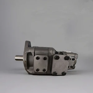 High Quality HG10 Double Hydraulic Oil Pump Two Independent Loop Gear Pump with Energy Saving Feature Higher Pressure