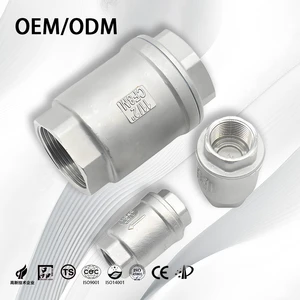Stainless Steel One Way Spring Loading Vertical SS304/316 Industrial Check Valve Non-return Female Npt Bspp