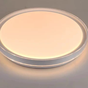 Ultra-thin Modern LED Ceiling Lamp with Minimalist Acrylic Round SMD Surface Light for Living Room Dining Room Bedroom Office