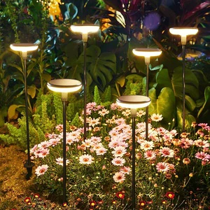 Solar Outdoor Garden Light Park Decoration LED Lighting Waterproof Patio Garden With Lights