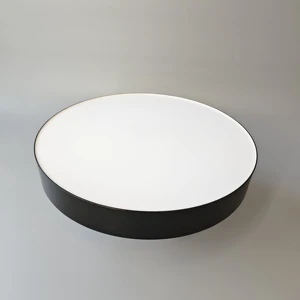 Frameless LED Ceiling Light (CL-MTR) Surface Mounted with R300 / R400 / R500 /R680 Produced in Zhongshan From Jiaxing Trepower