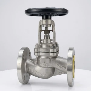 Graphite Packed Stainless Steel Globe Valve SS 316L/CF8M 2