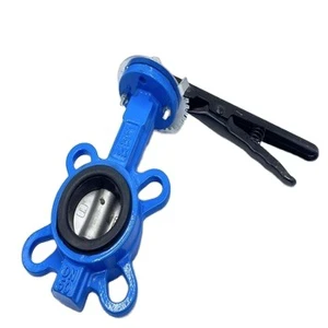 Lowest Cost DN50/DN25/DN80/DN100 WCB Iron butterfly Valve