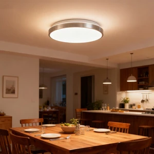 Iron Multifunction Round LED Ceiling Light For Living Room & Kitchen Versatile Modern Lighting 12W/18W/24W