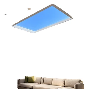 Smart Artificial Skylight Panel Light 2x1 FT APP Control Simulated Sunlight Ceiling Light
