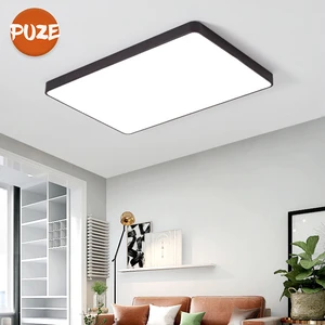Professional Manufacturer Design Ceiling Light Restaurant Hotel Office Fancy Indoor Lighting Led Ceiling Lamp