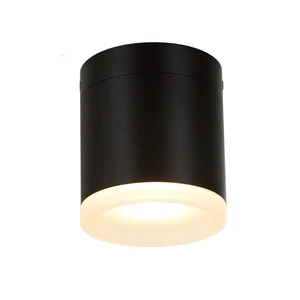 10W IP65 Outdoor Ceiling Surface Mounted LED Down Light