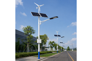 Wind Solar Hybrid LED Street Light 100W IP65 Waterproof All-in-One Outdoor Lamp for Road Parking Lot