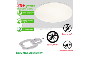 Triple-Proof Ceiling Light Dustproof Moistureproof and Insect-proof Led Ceiling Light With Driver Ceiling Lighting
