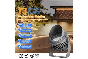 High Quality DC 12-24V AC 220V IP66 COB RGB LED Flood & Spot Light 100W Outdoor Landscape Lighting CE Certified Remote Control