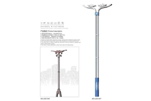 Low Price Waterproof IP66 Octagonal Steel LED Street Lights and Poles with 200 km/h Wind Resistance & 5-Year Warranty
