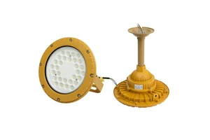 50W/70W/100W Round LED Explosion-proof Flood Light IP66 Waterproof Outdoor Industrial Lighting Exde MB IICT6 GB