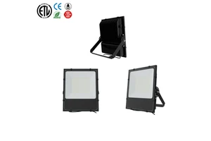 High Power Led Flood Light 50w 100w 150w 200w 300w Waterproof IP66 Projector Outdoor Football Field Floodlight for Square