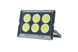 Hot Selling 200W Lens Sunlight Flood Light at Good Price