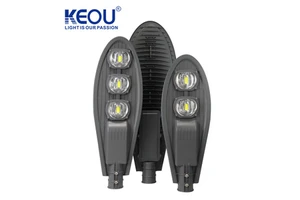 Ip66 Waterproof 50W 100W 150W 200W 250W Cobra Street Light Wholesale Price