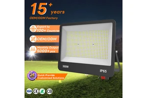 20w 30w 50w 100w 150w 200w 300w Super Bright Ip66 Waterproof Outdoor Lighting Garden Floodlight Project Refletor Led Flood Light