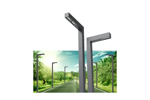 Stable Base Outdoor Aluminum AC Induction Lamp Waterproof IP66 Driveway Yard Lighting Round Pole Street Light Post 4.8M
