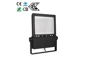 Hot Selling High Output Electric Waterproof Outdoor 30 50 80 100 120 150 200 250 300 Watt IP65 Led Flood Light
