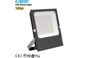 High Lumen Output 170lm/w Super Bright ETL SAA CE Approved Economical Ip66 100w Floodlight Outdoor Lighting Led Flood Light