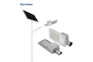 Blue Carbon Wholesale High Quality Solar Lamps Solar Street Light Aluminum 30W Led Lights with Remote