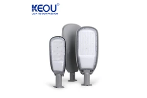 Customized Led Light Casting Service Outdoor Lighting 100W 150W 200W Led Street Light